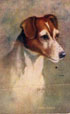 Prince